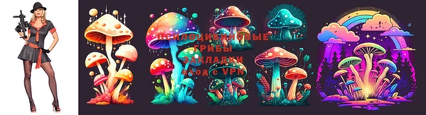 круглые Елабуга