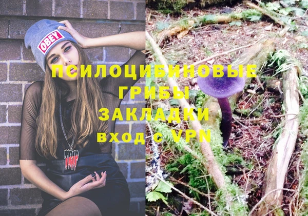 мяу мяу кристалл Ельня