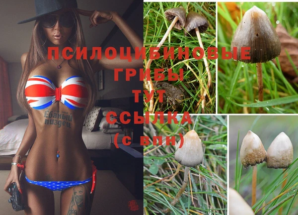 мяу мяу кристалл Ельня